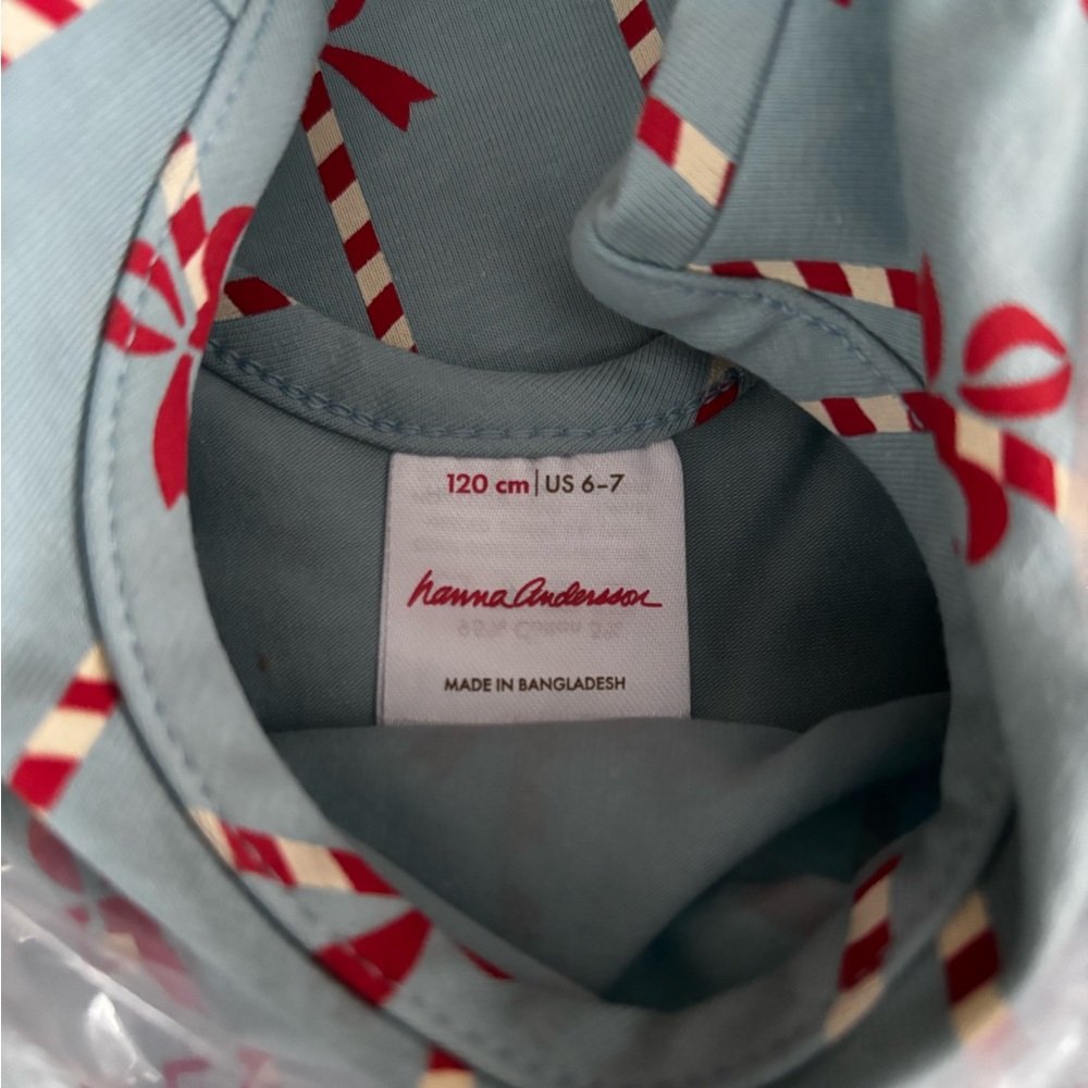 Hanna Andersson Blue and Red Bow Pattern Skater Dress with Pockets - Picture 4 of 4